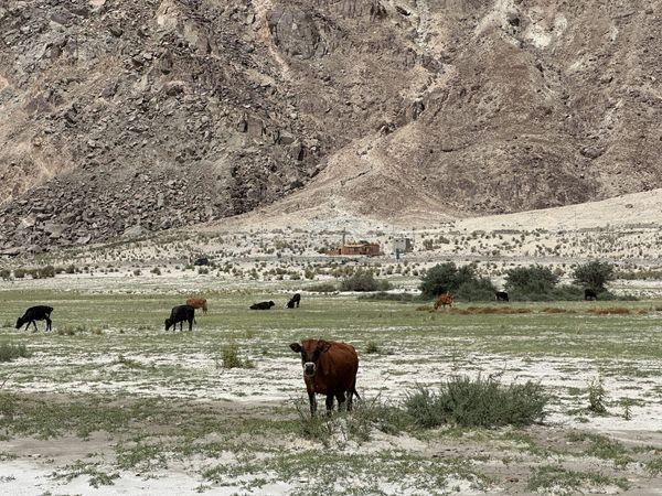 工程師為什麼會解錯問題？從 Staging 到 SQL 優化的兩次復盤