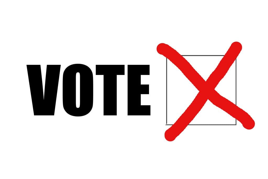Pedham Development: Vote Option 1 Now
