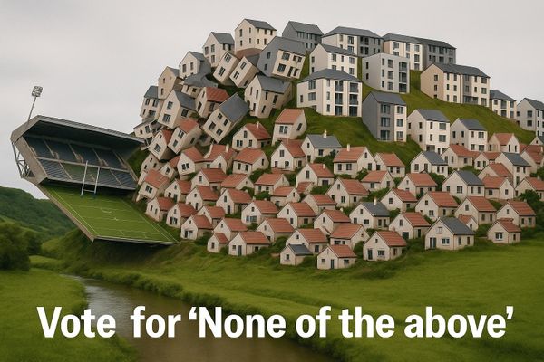 Five Days To Act Against Pedham & WASPS