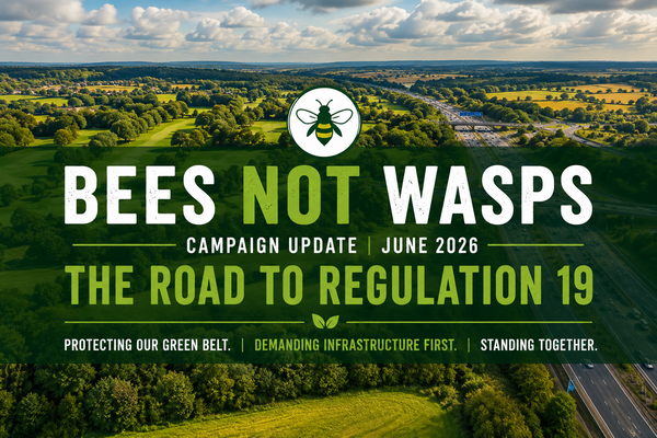 🐝 BEES NOT WASPS CAMPAIGN NEWSLETTER | June 2026