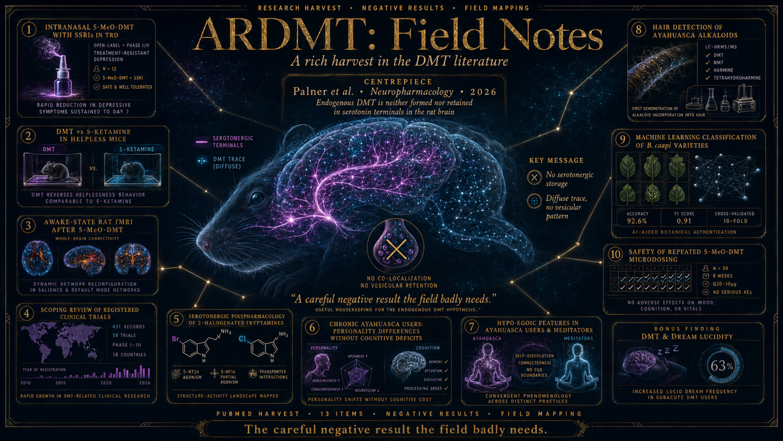 Endogenous DMT: Not in Serotonin Terminals — Palner et al