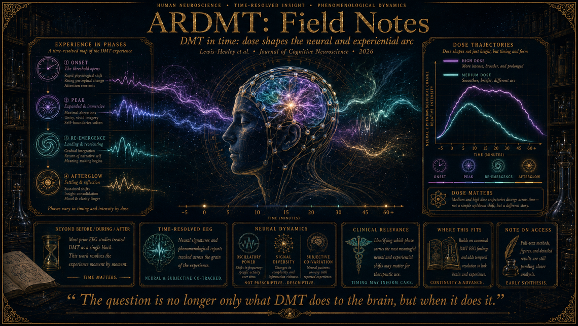 Tracking DMT's neural arc: time-resolved EEG at two doses