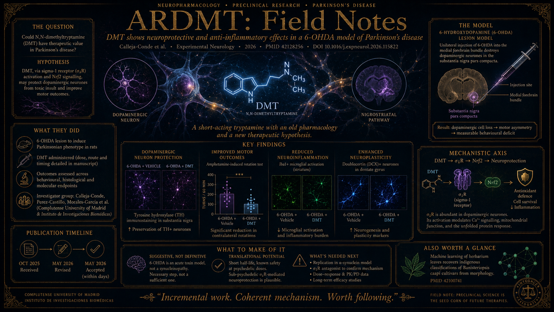 DMT for Parkinson's: Sigma-1 Neuroprotection in a 6-OHDA Model