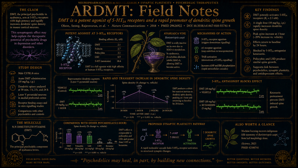 Endogenous DMT from Axelrod to Borjigin: what sixty years have settled and what they have not
