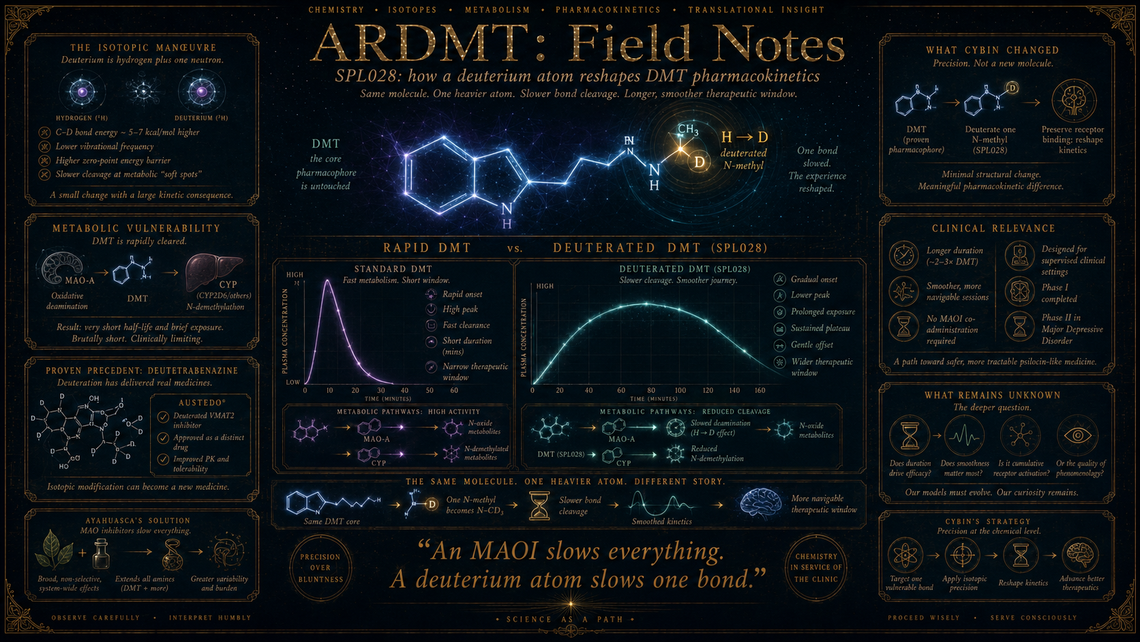 Deuterating DMT: how two neutrons reshape a pharmacokinetic profile