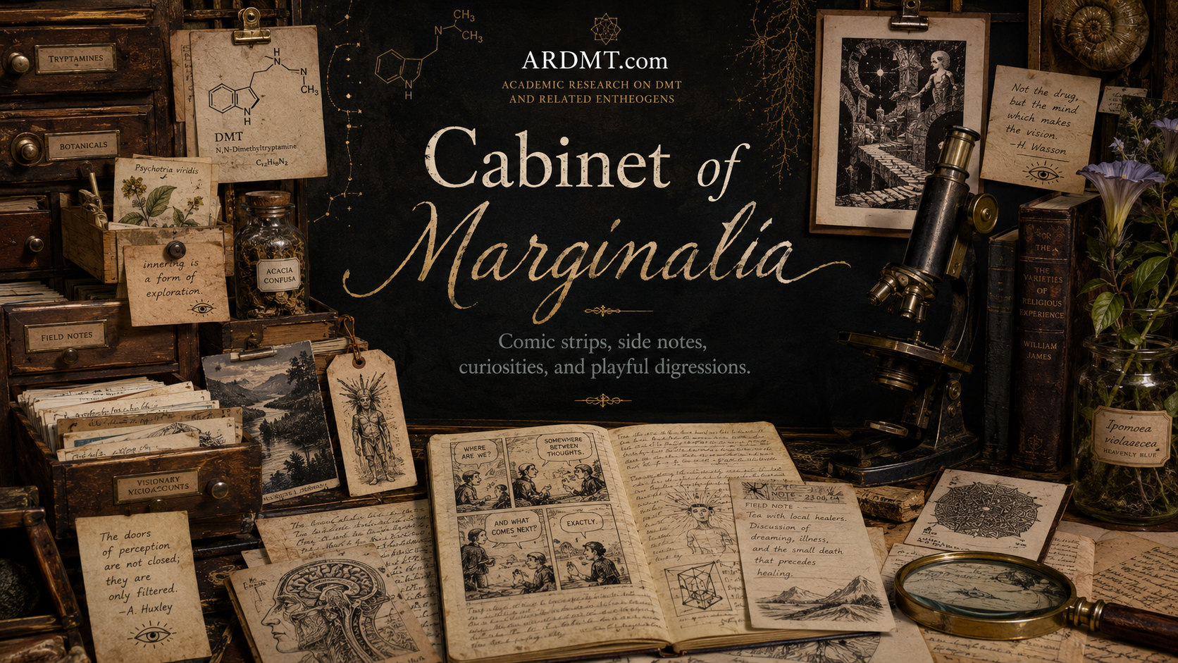 Cabinet of Marginalia