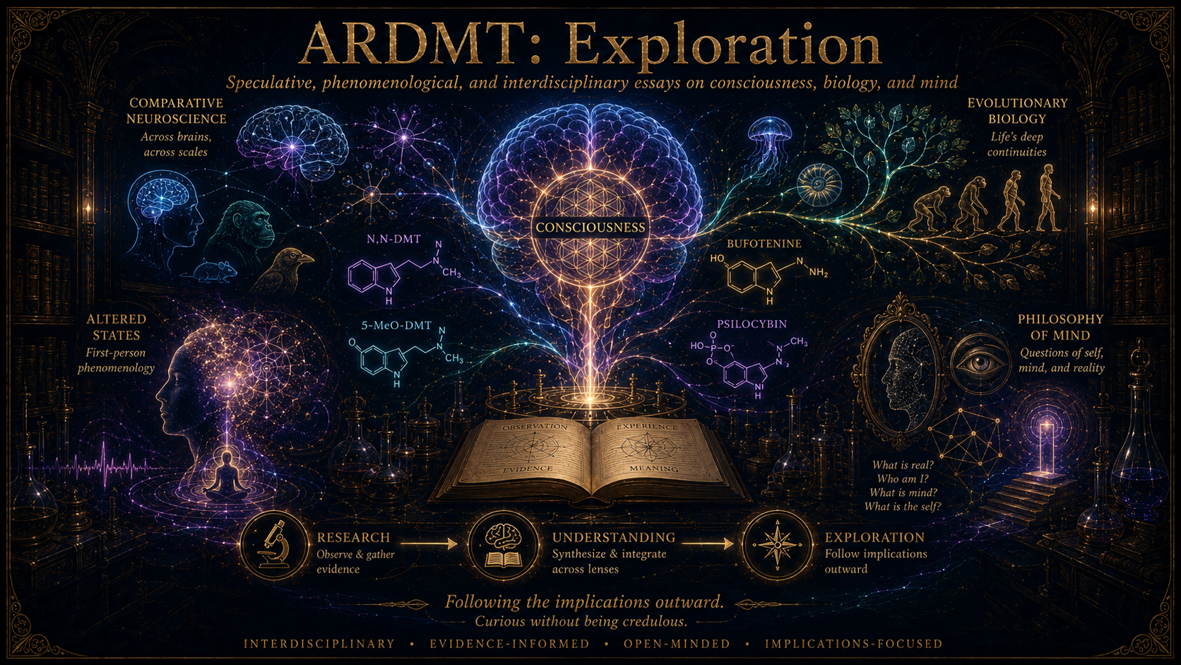 Exploration