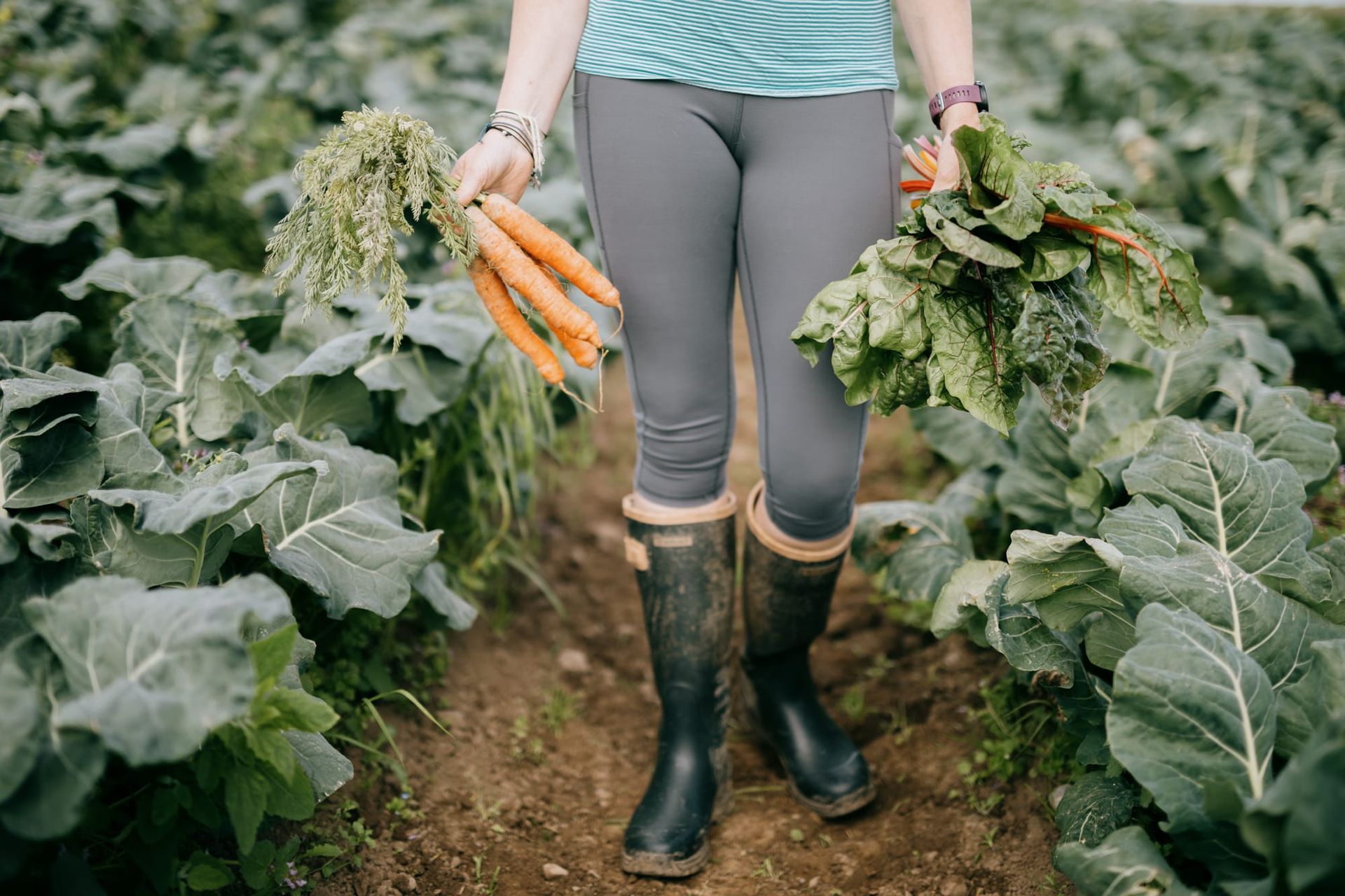 Three Galway Growers to Know (And Support)