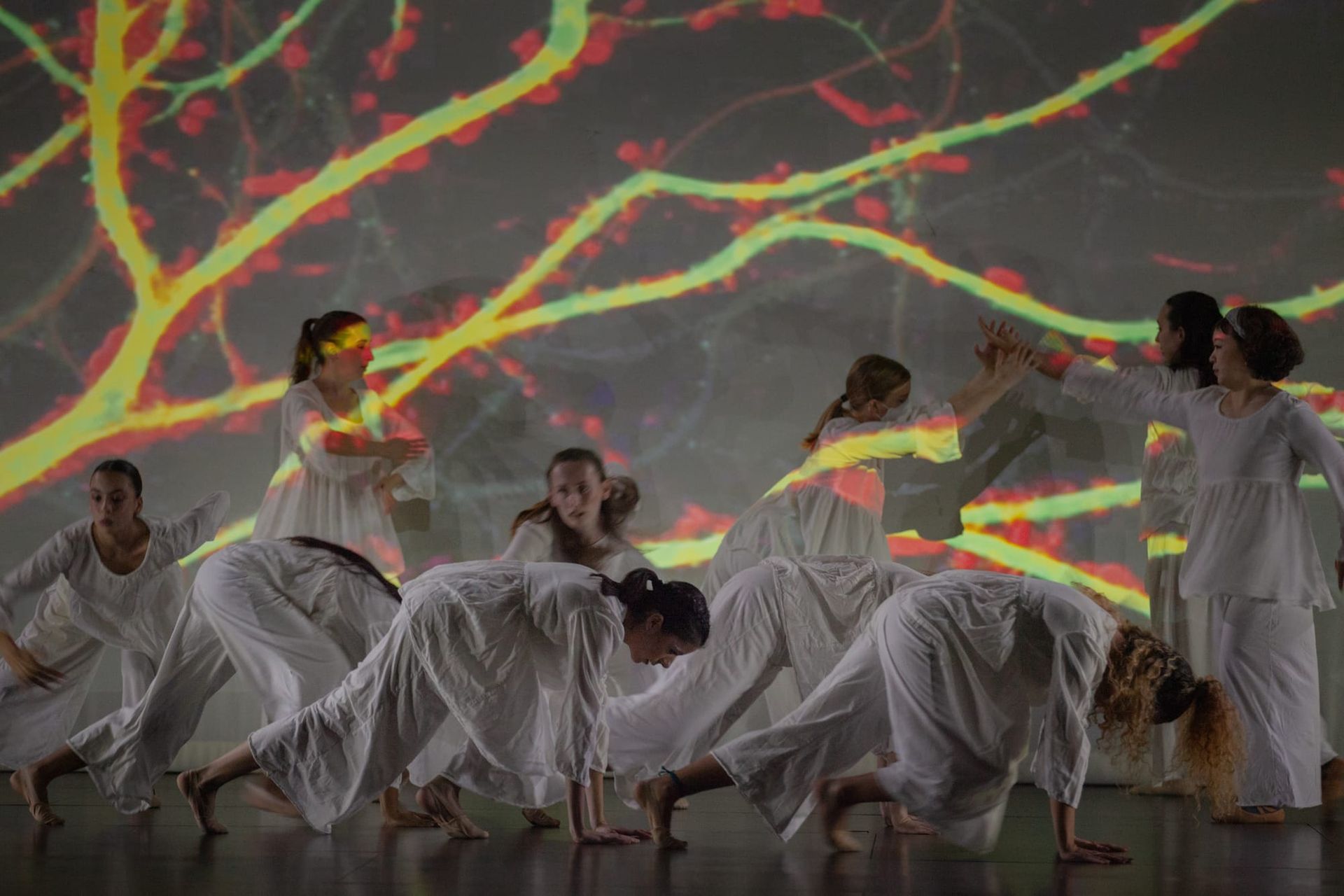 Rooted in the River: The New Dance Show Inspired by the Corrib River and Galway Bay