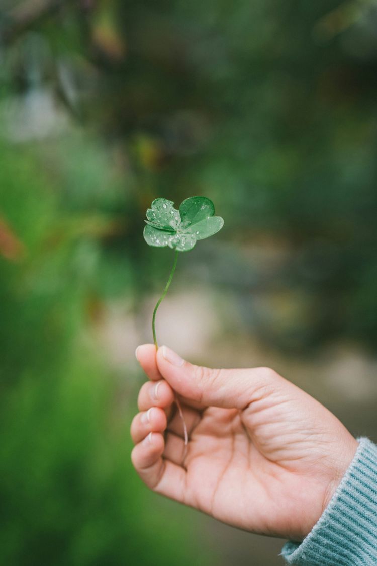 The Ultimate Guide to St. Patrick’s Weekend in Galway
                        