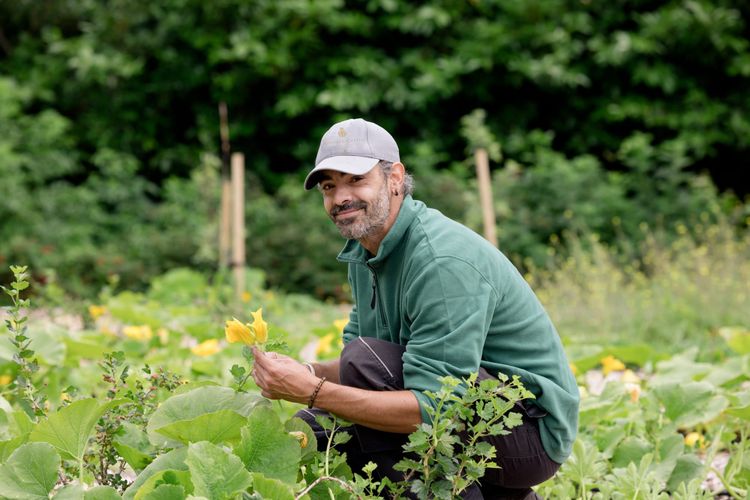 Inside Ashford Castle's Kitchen Garden with Head Grower Alex Lavarde