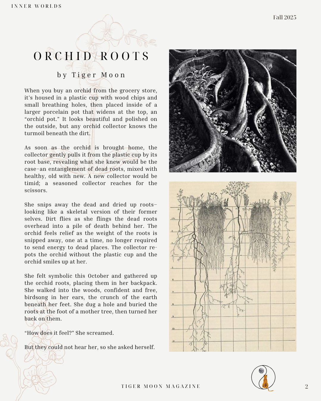 Orchid / Roots