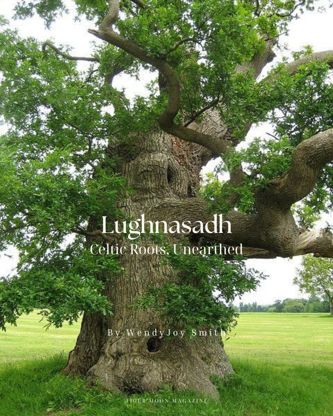 Lughnasadh: Celtic Roots, Unearthed