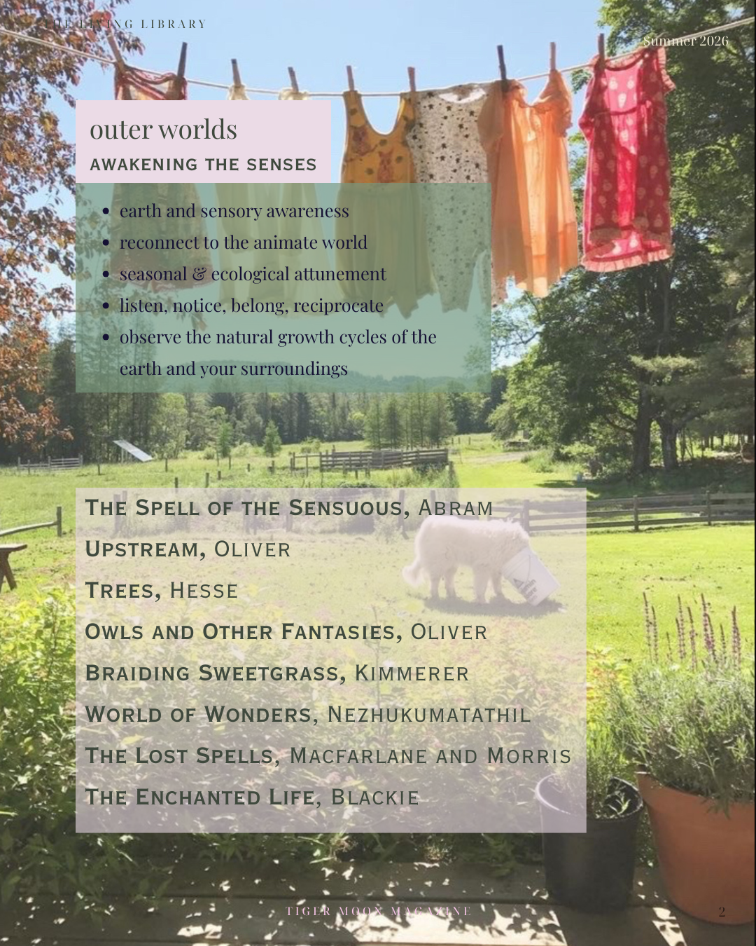 Awakening the Senses: Outer Worlds