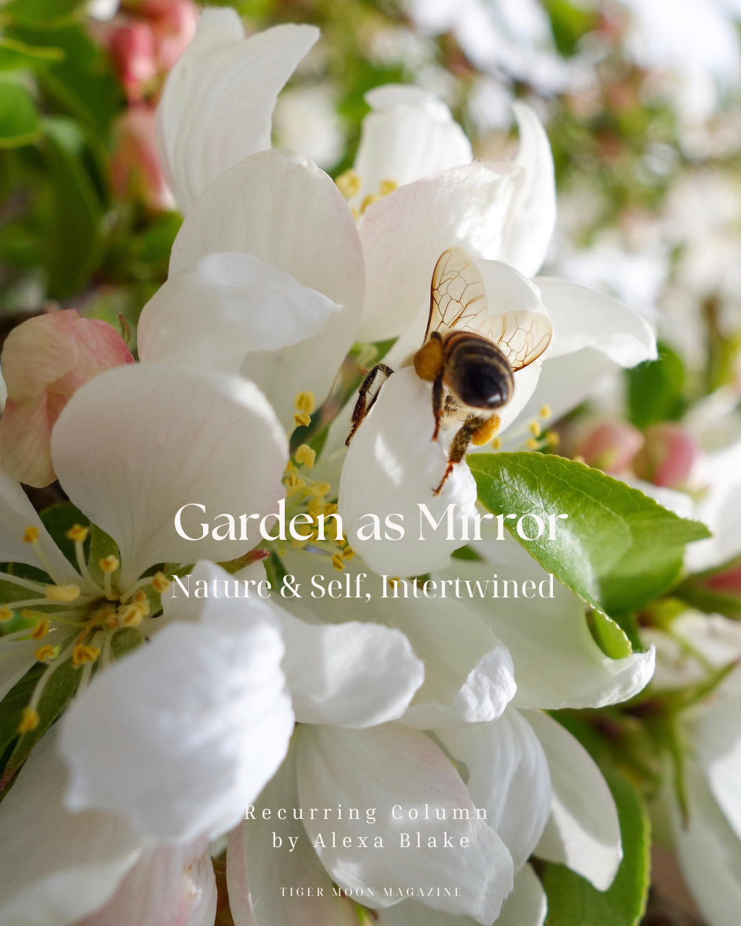 Garden as Mirror: Nature & Self, Intertwined