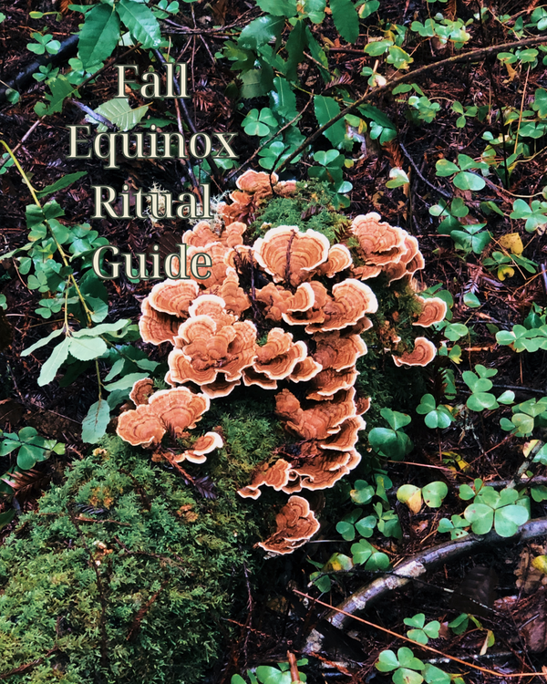 Fall Equinox Ritual Guide