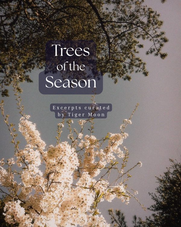 Trees of the Season: excerpts