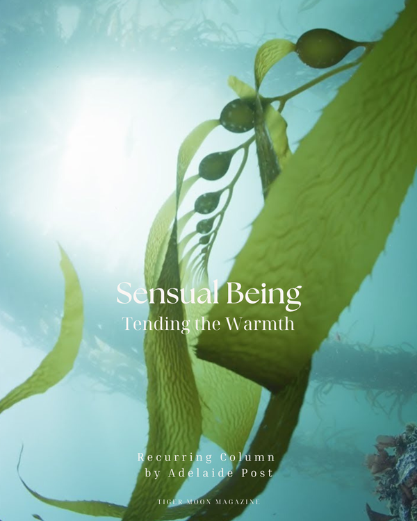 Sensual Being: Tending the Warmth