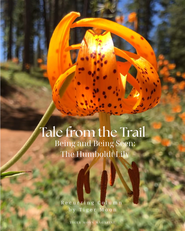 Tale from the trail: being and being seen