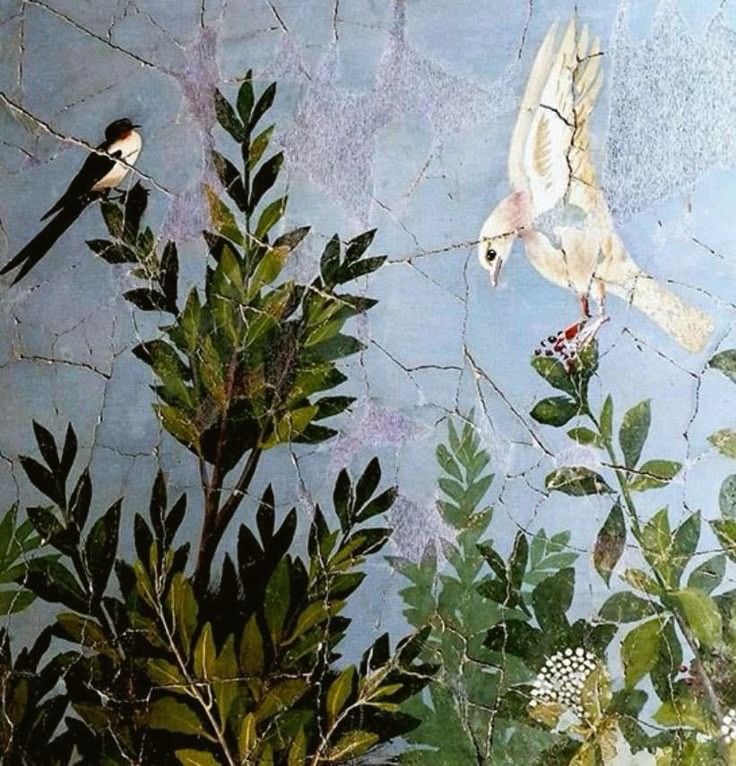 Paloma (Dove)