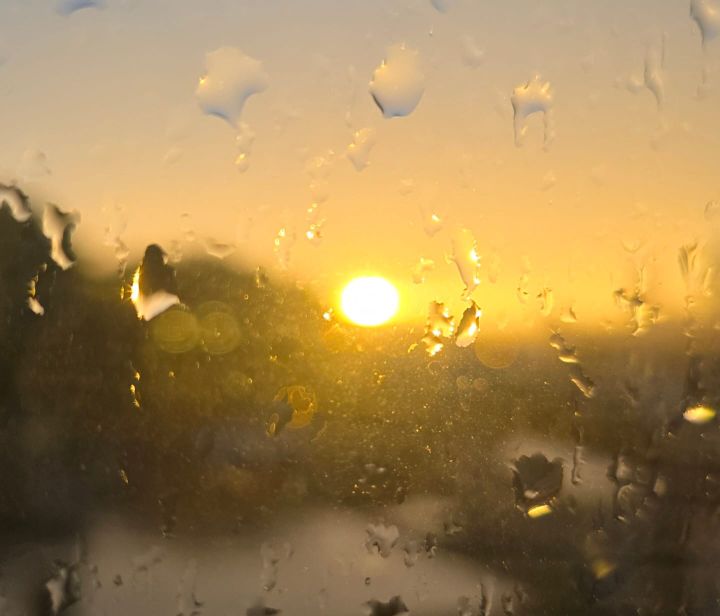 A Word Of Comfort for the Unappreciated