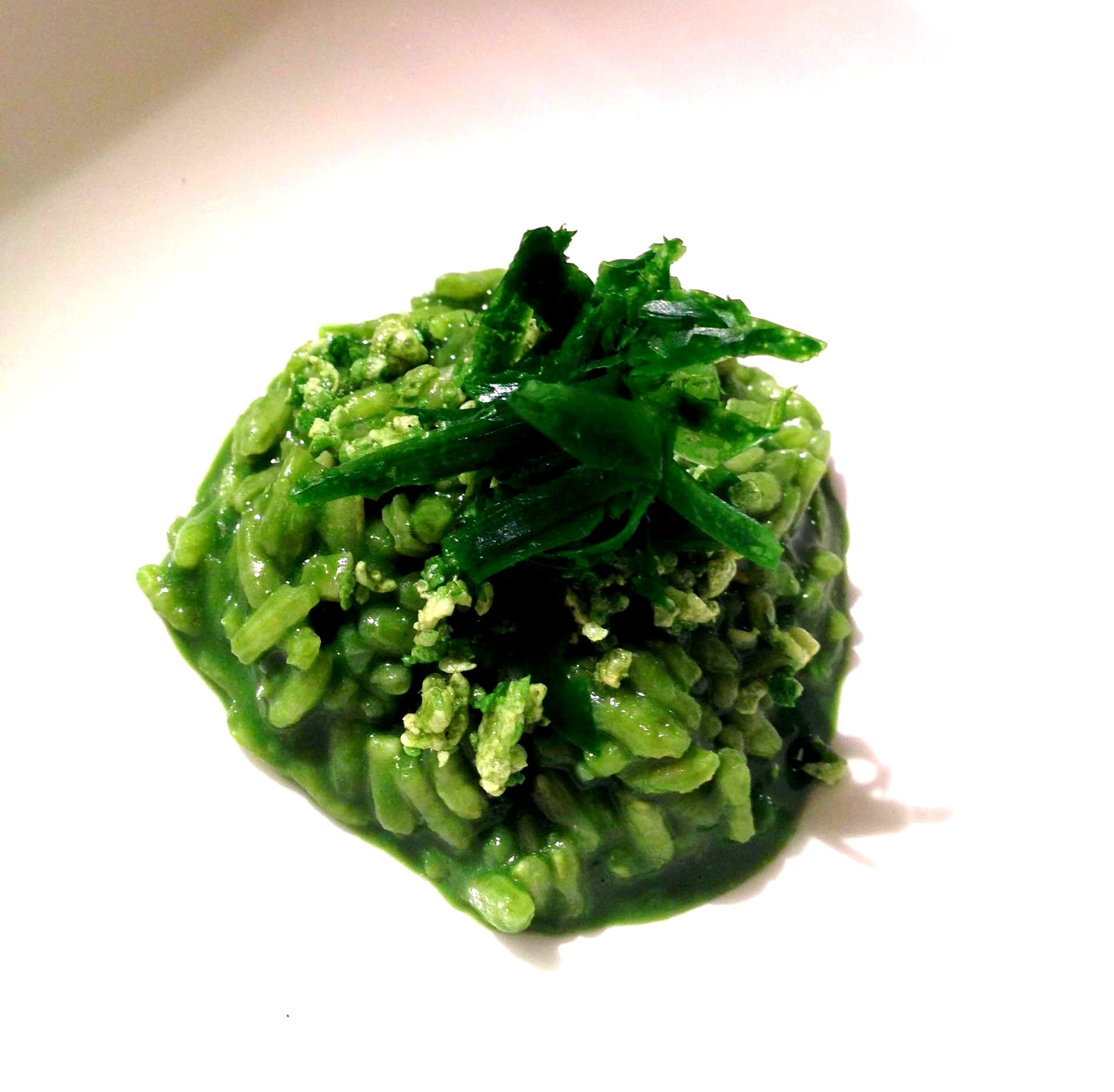 Plankton Risotto Aponiente 2014