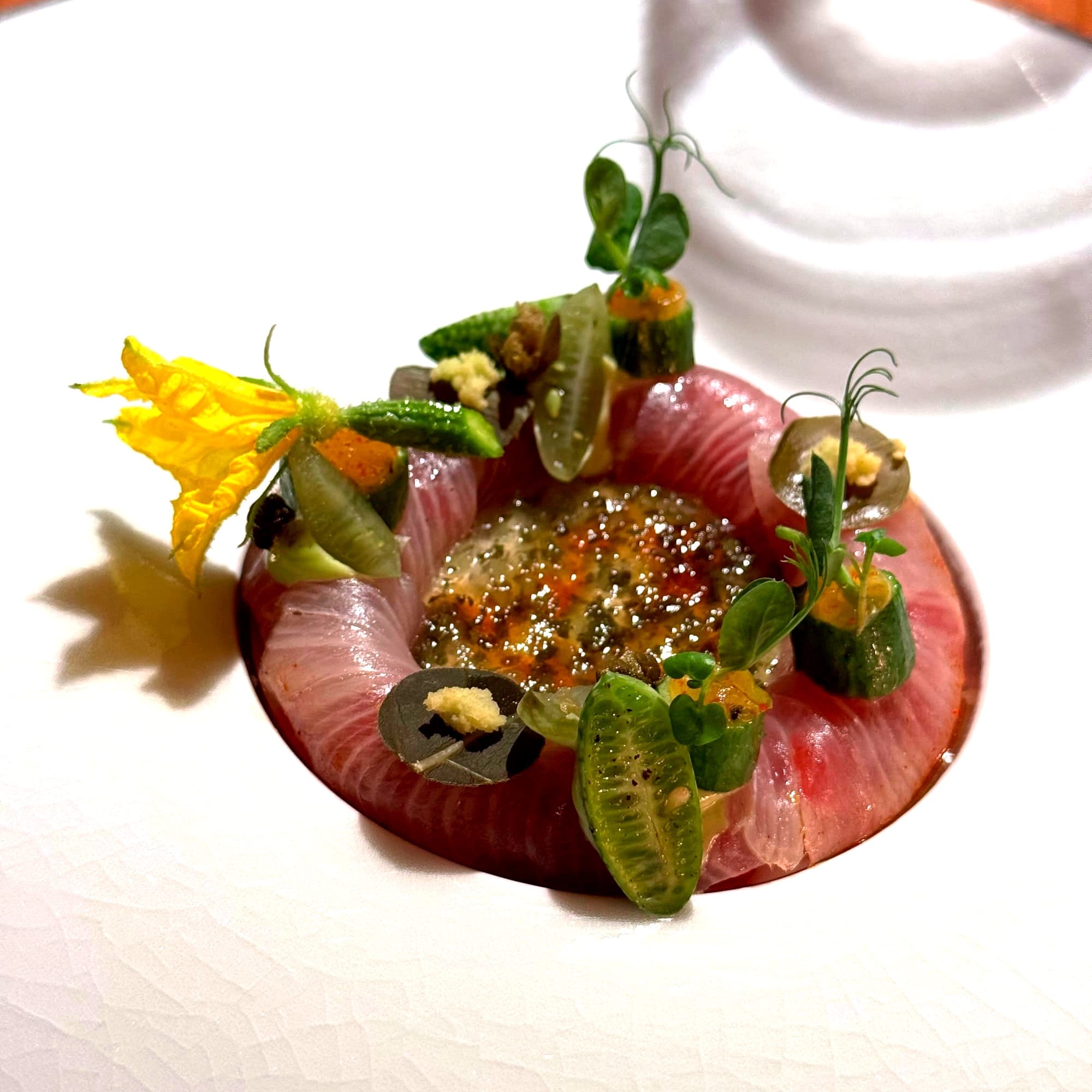 Hamachi and Balfego at Tohru