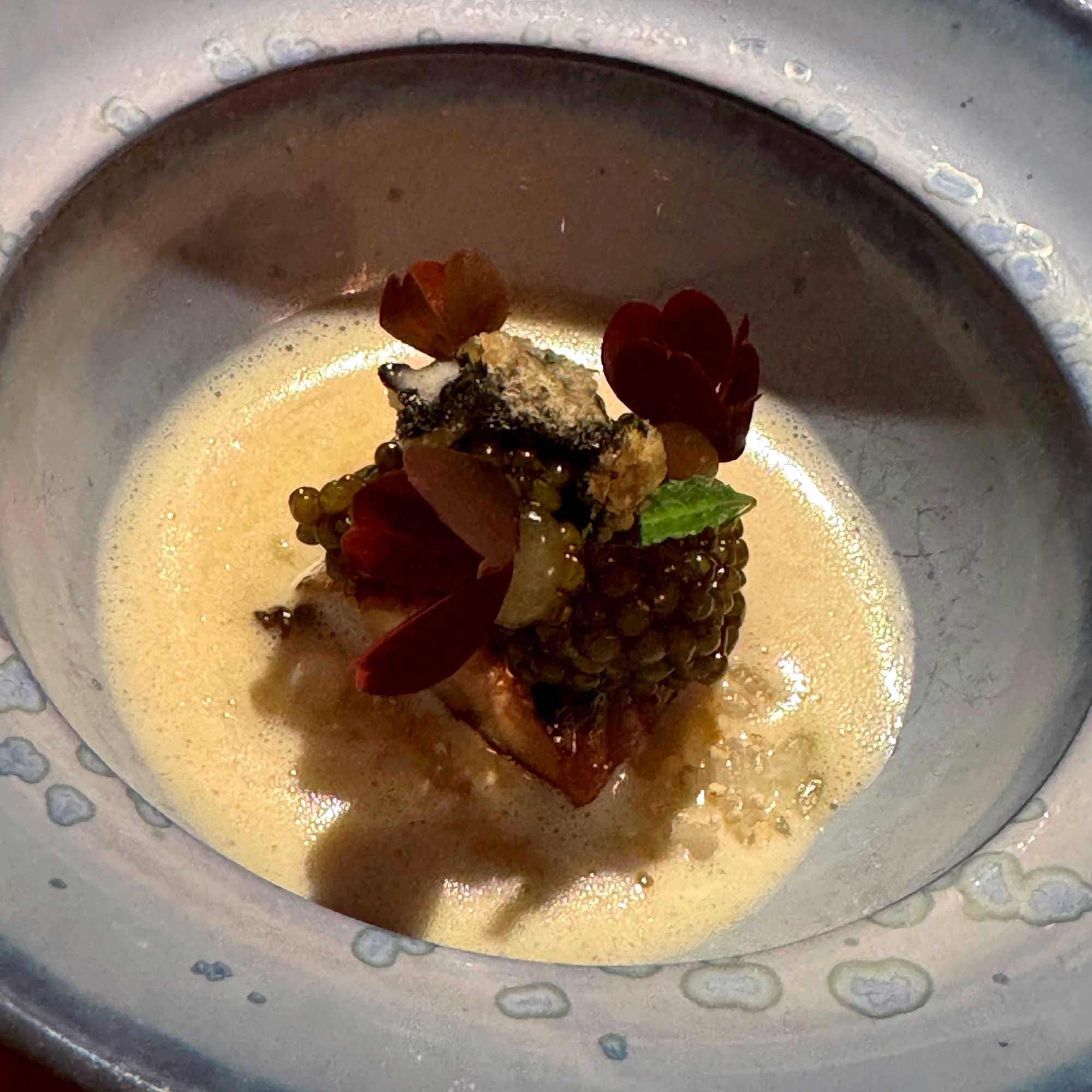 Koshihikari at Tohru