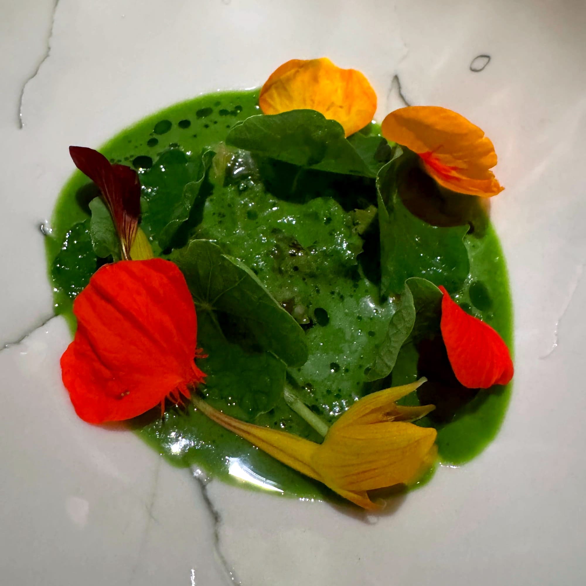 Peppery nasturtium, Le Clos des Sens