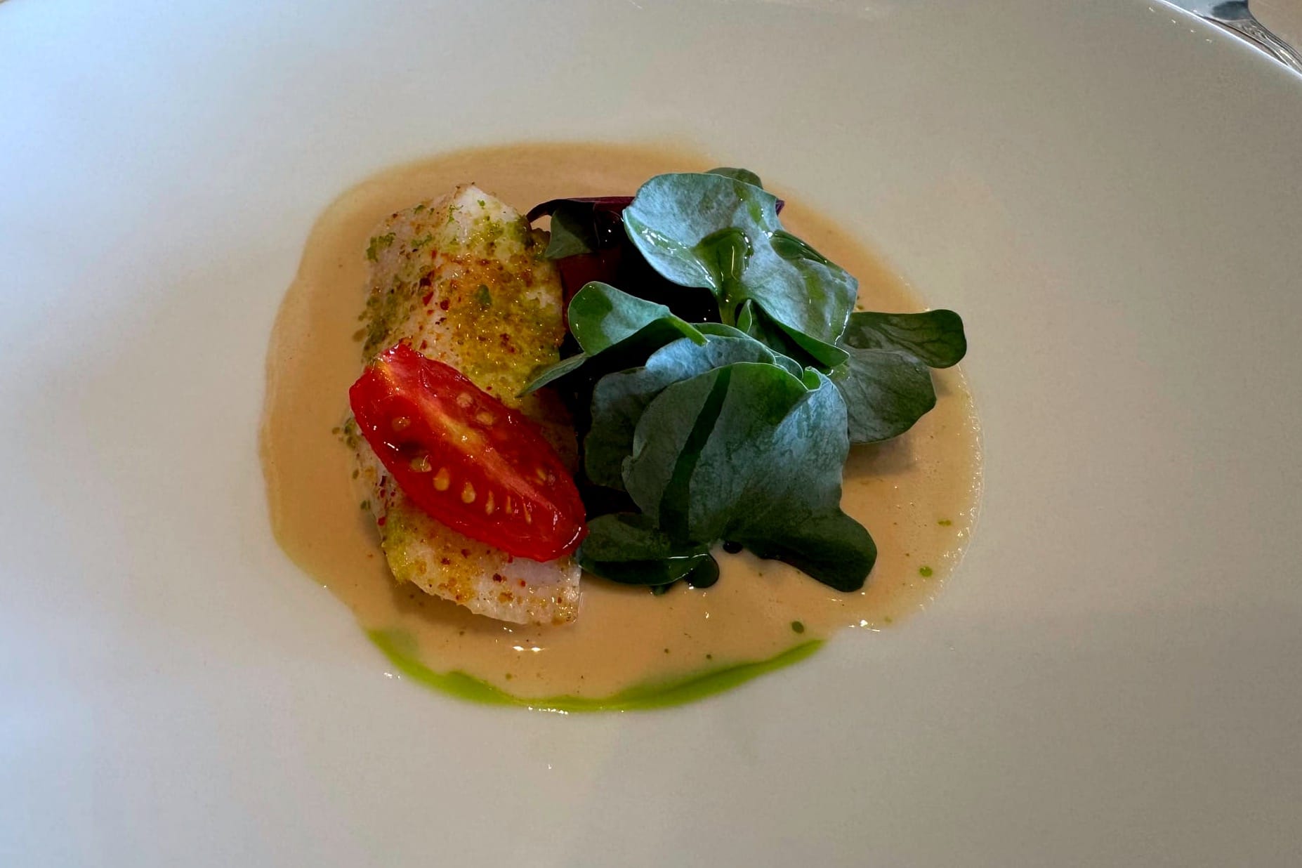 John Dory, braised tomato, chanterelles