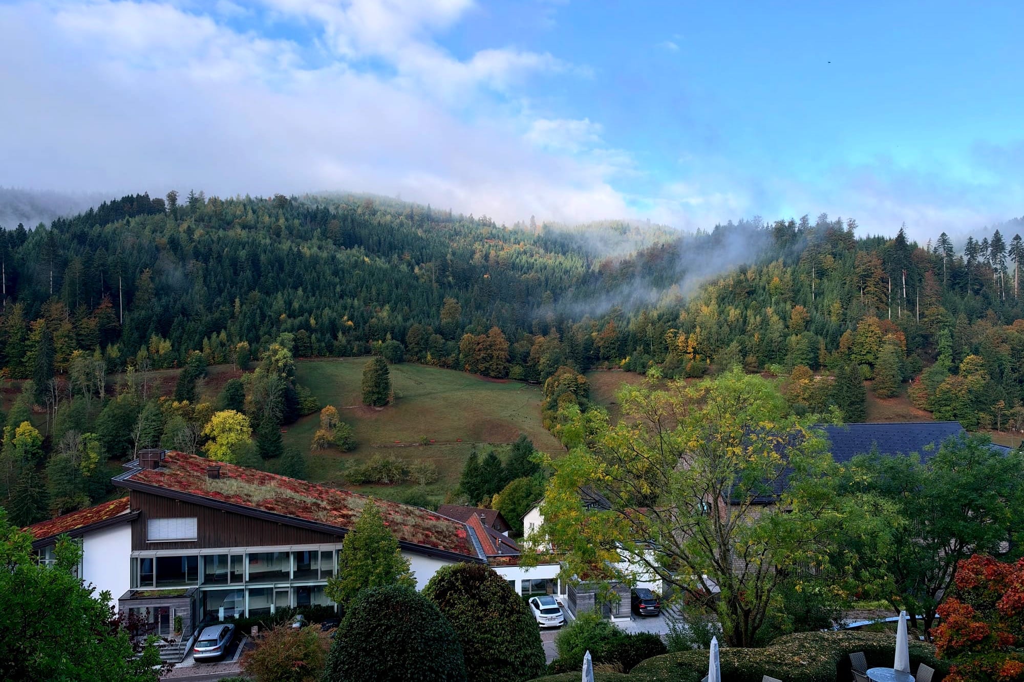 view from room at Hotel Traube Tonbach