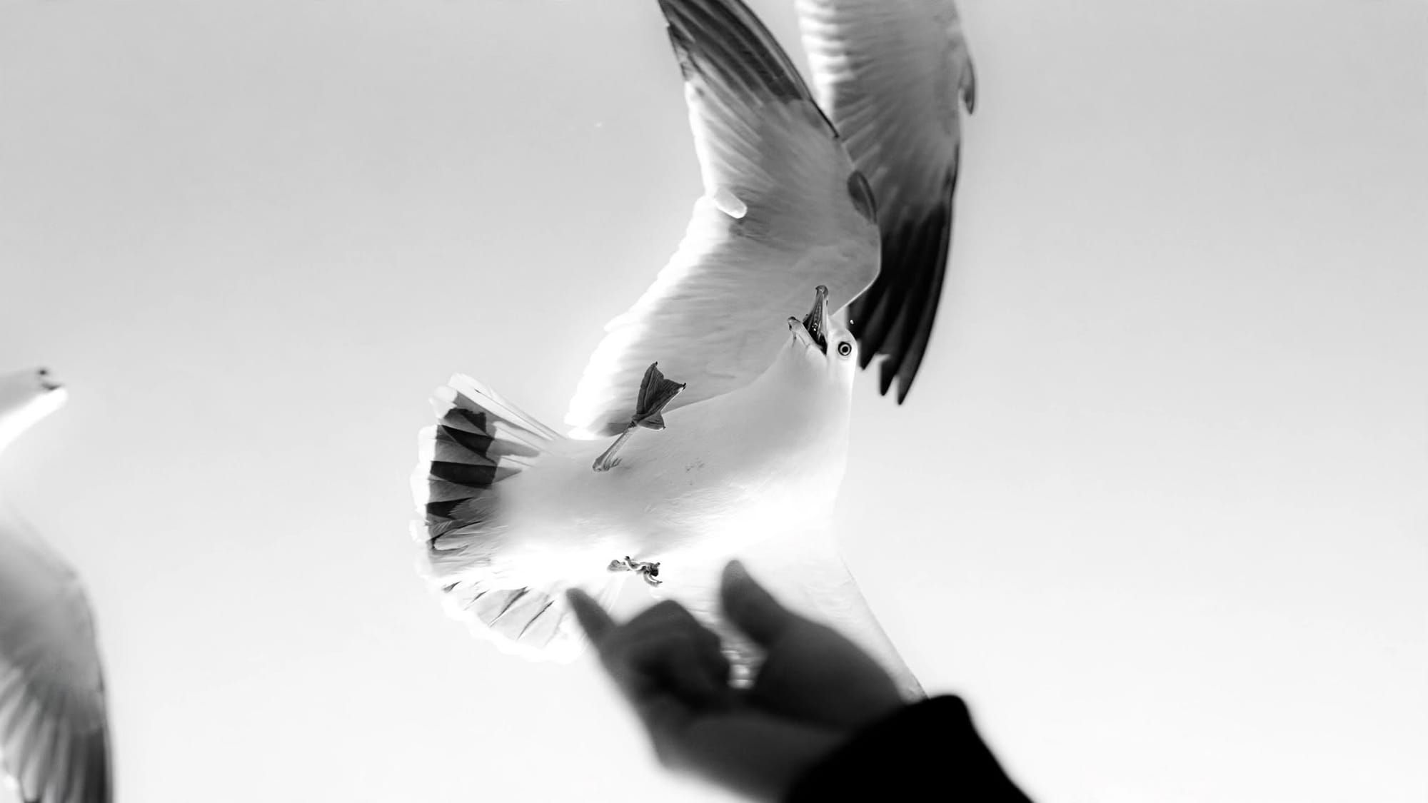 The Art of Letting Go
