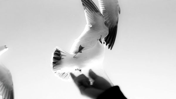 The Art of Letting Go
