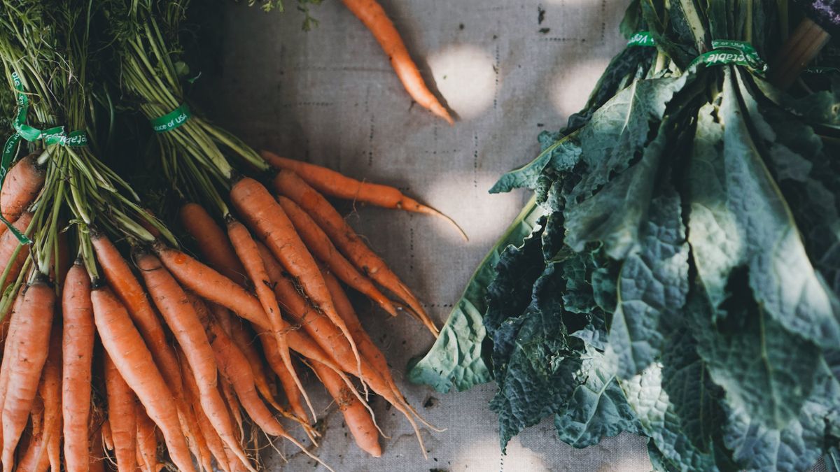 Vegan Activism and Anti-Indigeneity: Violating Indigenous Food Sovereignty