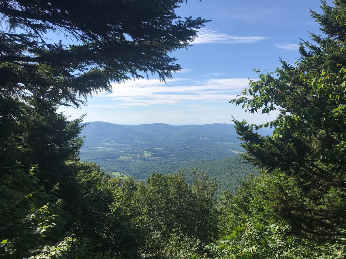 Saving MA Forests: The Fight For Clean Air During COVID-19 and Climate Change