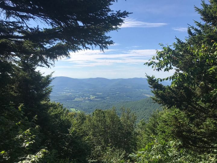 Saving MA Forests: The Fight For Clean Air During COVID-19 and Climate Change