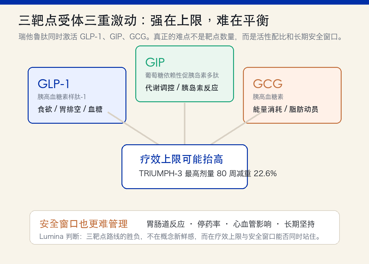 三靶点受体三重激动机制卡