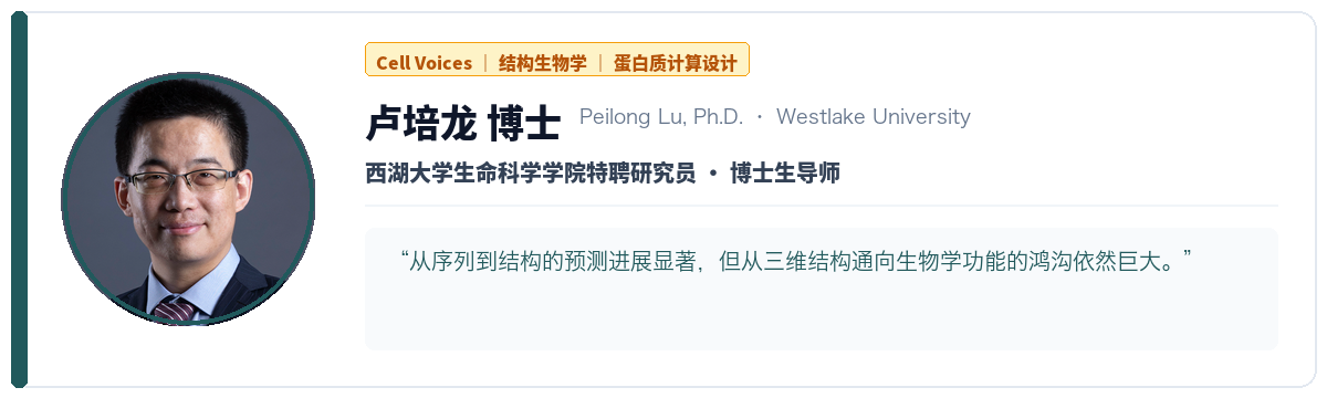 卢培龙 博士