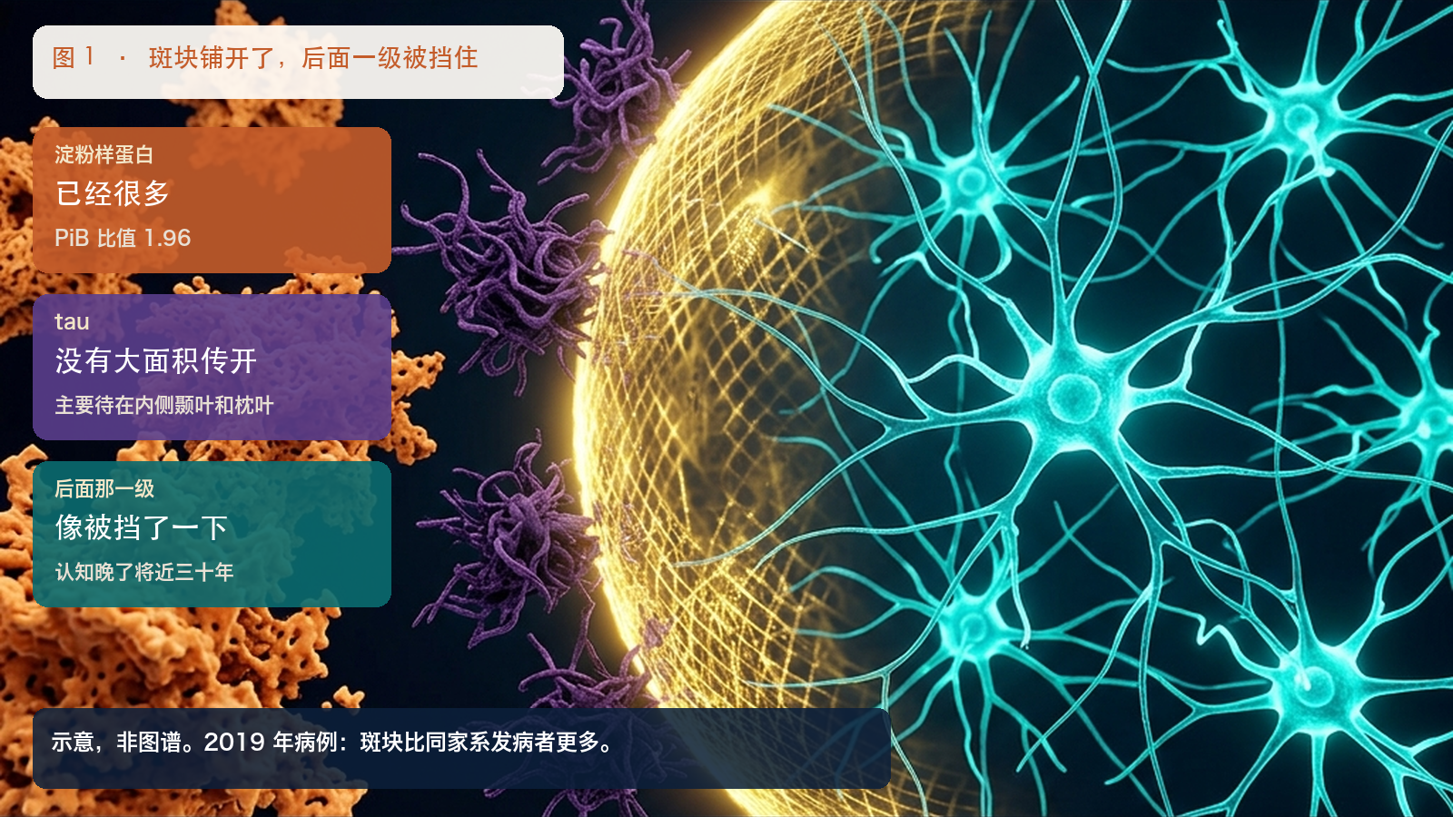 斑块已经铺开。挡住的，更像是后面那一级。