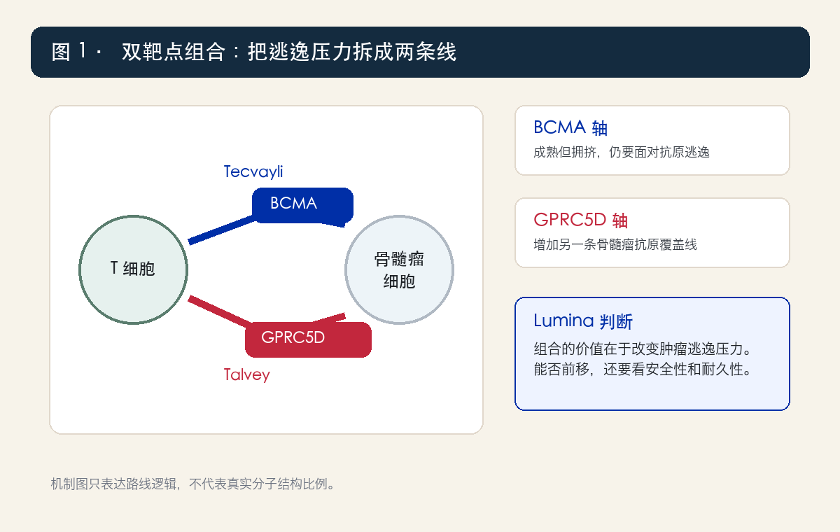 BCMA 和 GPRC5D 双靶点机制卡
