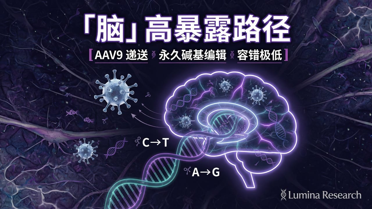 脑 · 高暴露路径