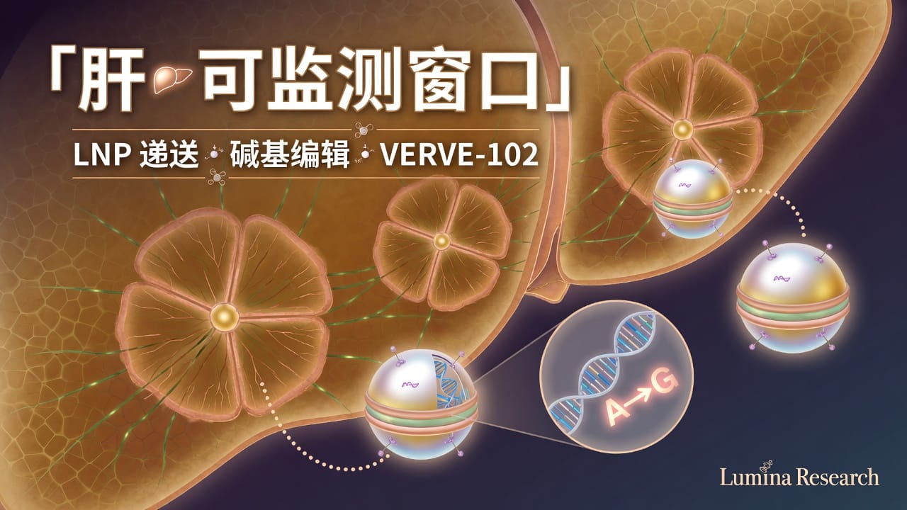 肝 · 可监测窗口