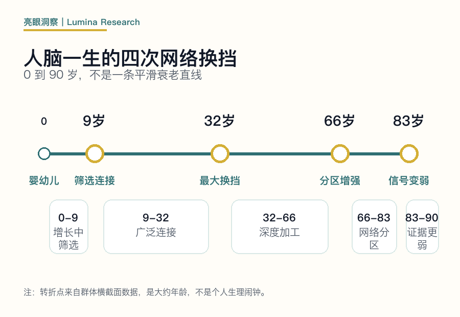人脑一生的四次网络换挡