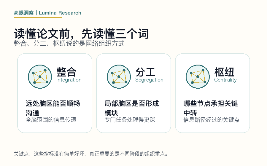 整合、分工和枢纽