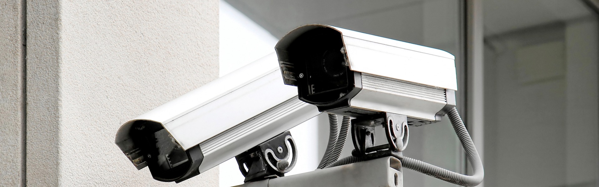 Julia Tatiana Bailey: Visual Artists and the Politics of Surveillance in Post-Privacy America