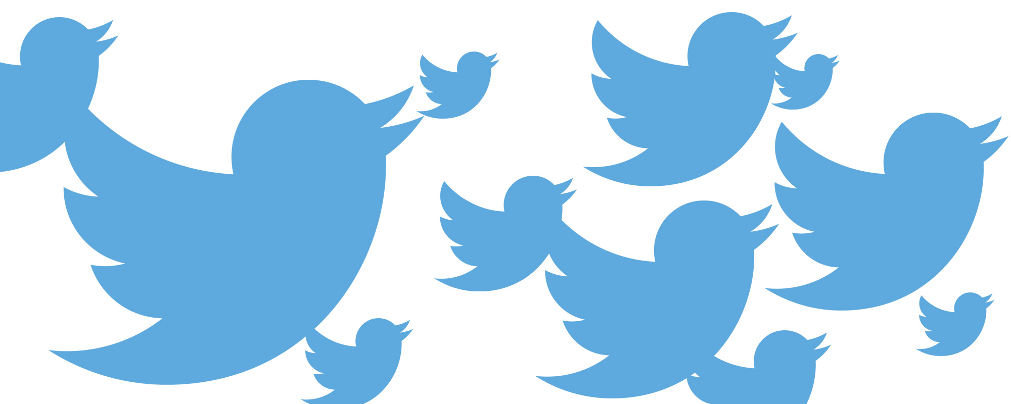 Twitter bird illustration