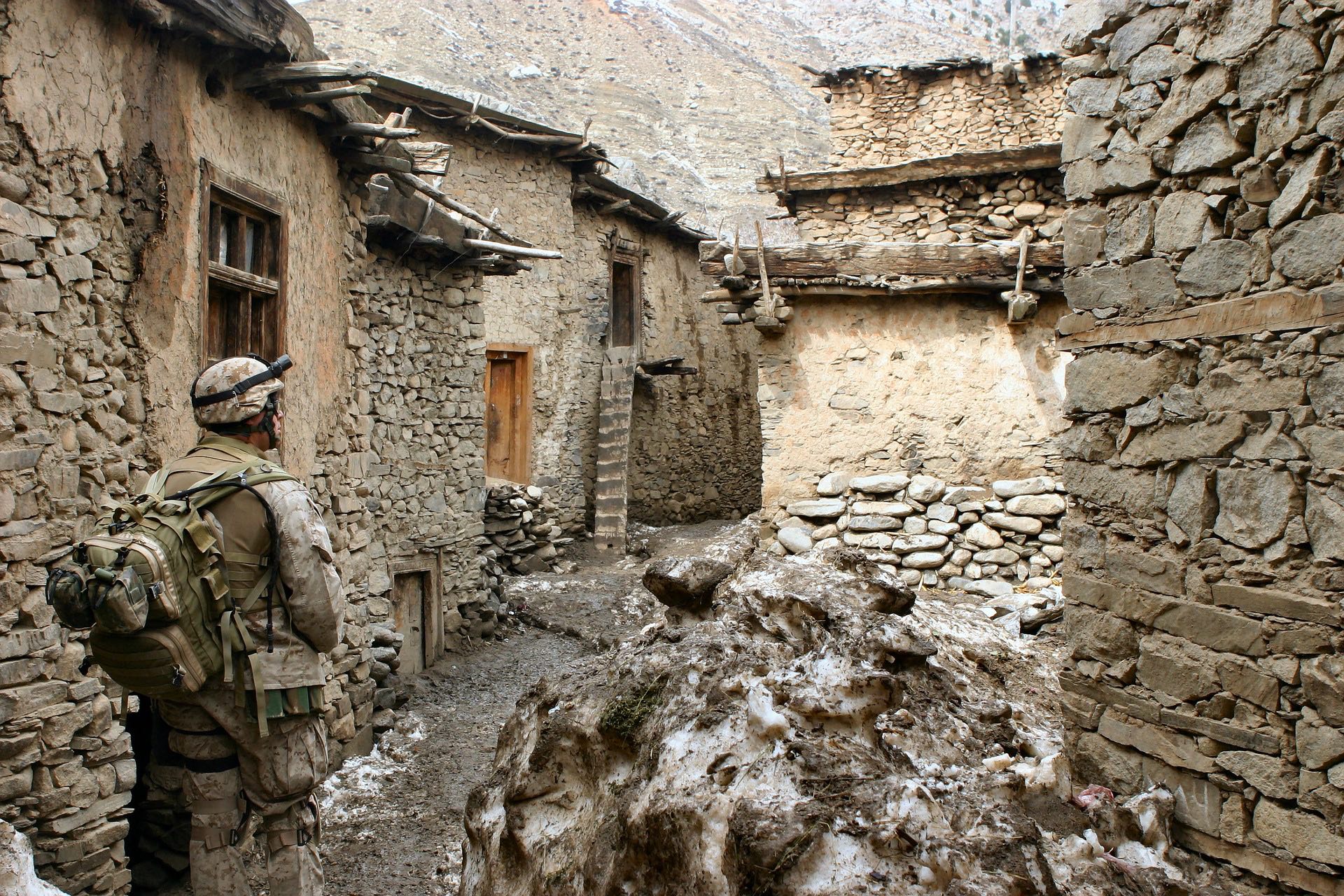 U.S. Objections to the Afghan Taliban:  Ends, Ways, or Means?