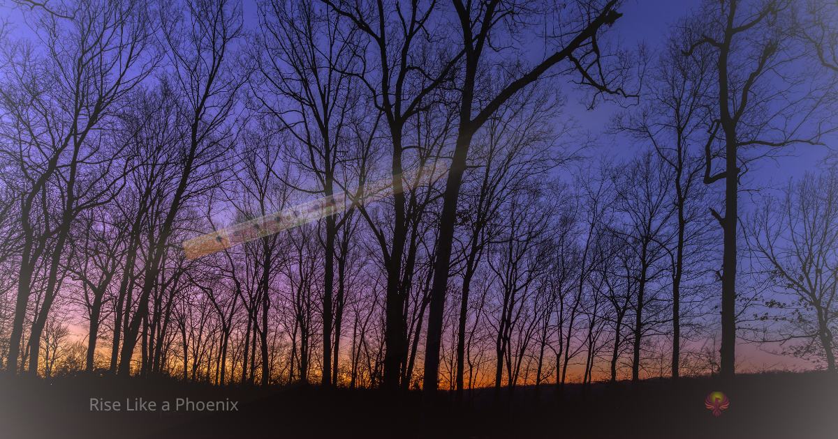 A faint flute glowing through a twilight forest beneath a violet and gold evening sky.