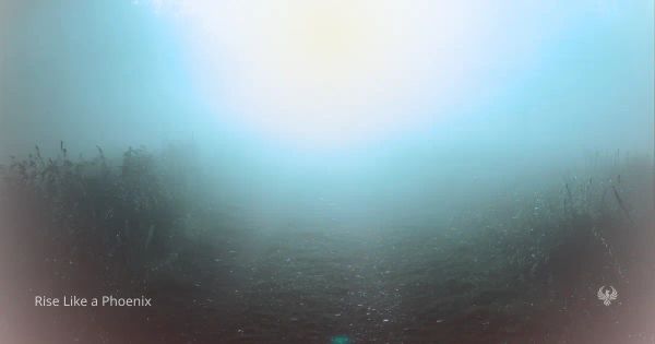 Soft foggy landscape symbolizing temporary uncertainty and integration during kundalini awakening