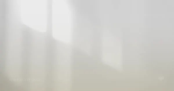 Soft light and shadow on a minimal surface, suggesting gentle attention.